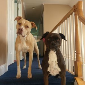 Meet your Posher, Dana